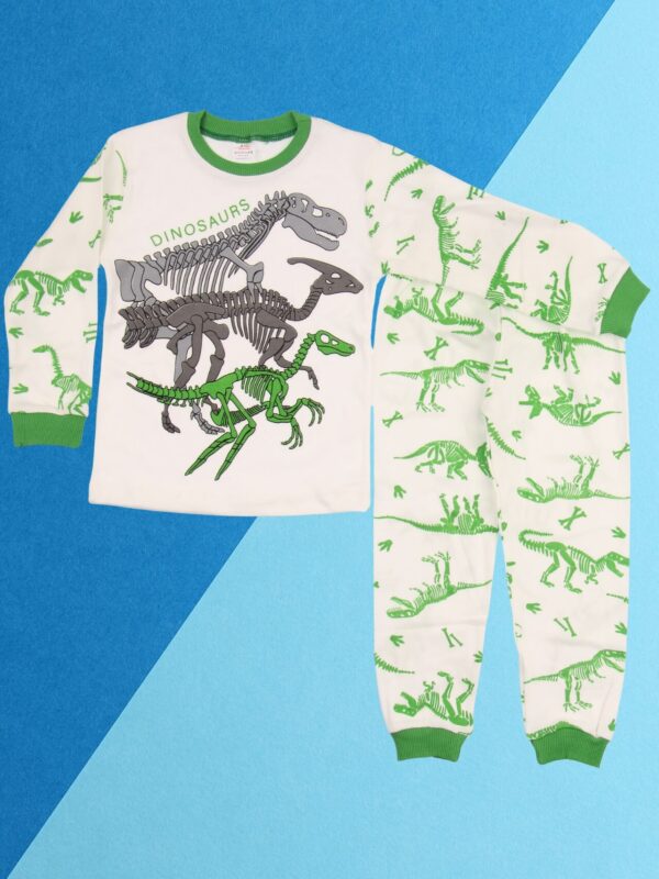 Παιδική Πιτζάμα Dinosaurs Για Αγόρι D3878