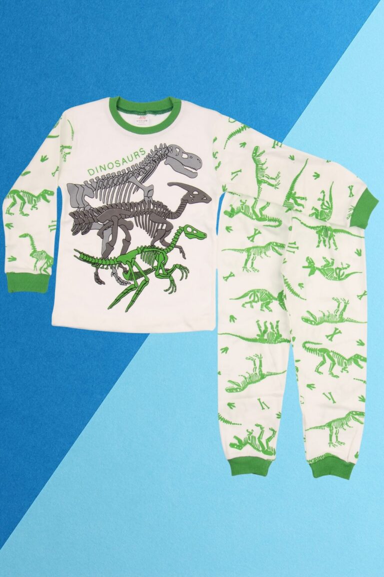 Παιδική Πιτζάμα Dinosaurs Για Αγόρι D3878