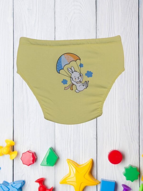 Βρακάκι Εκμάθησης Τουαλέτας H10108