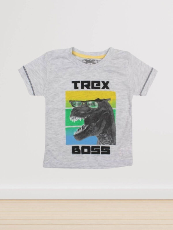 Παιδική Κοντομάνικη Μπλούζα Για Αγόρι 01-21023