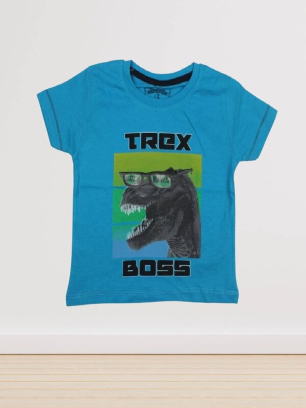 Παιδική Κοντομάνικη Μπλούζα Για Αγόρι 03-21023